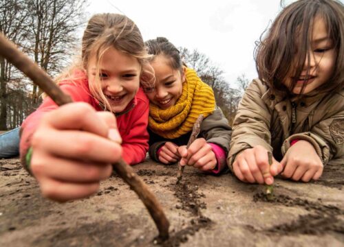 Vakanties in Frankrijk met kinderen